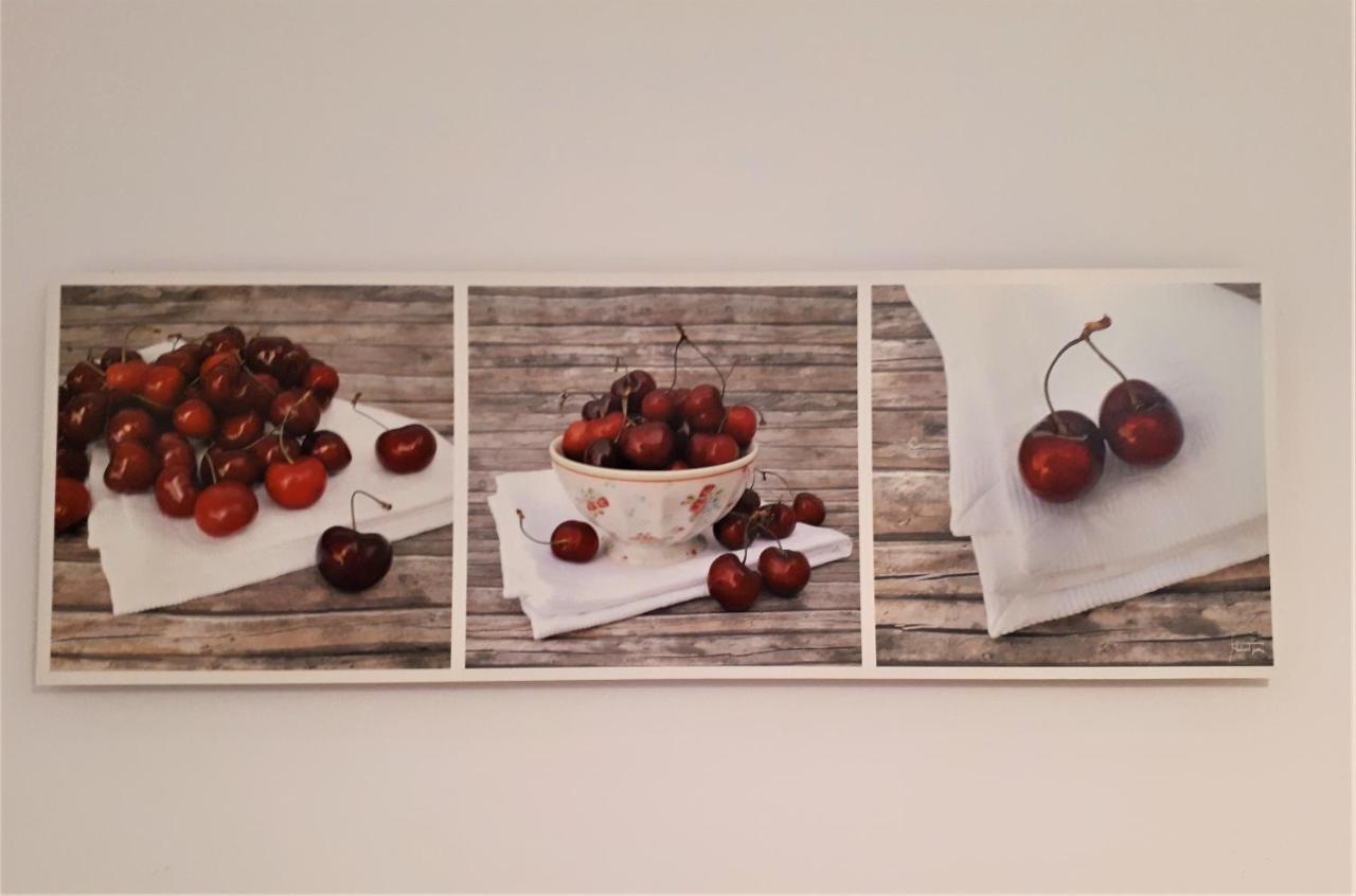 크라쿠프 Kazimierz Wolnica Kd 아파트 외부 사진